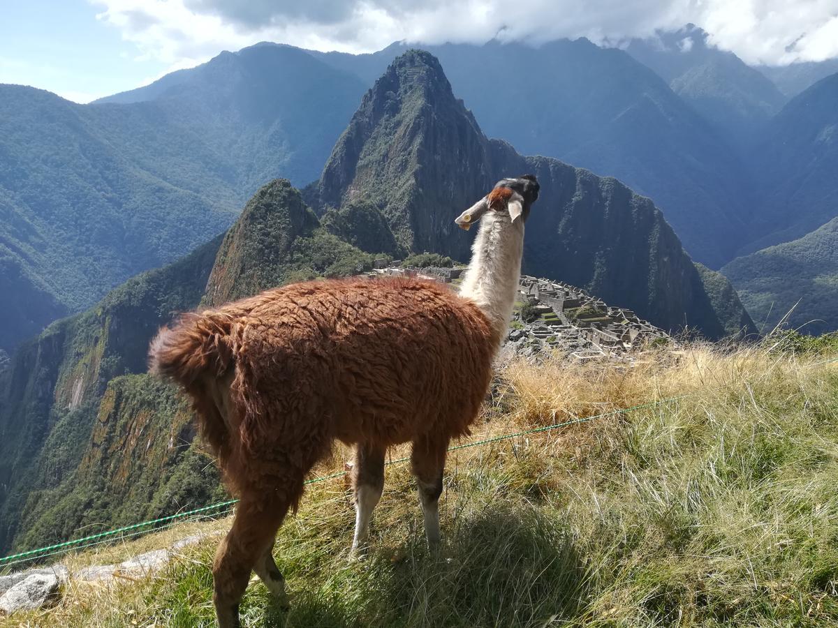 Golden Sunrise Machupicchu Hotel Exterior photo